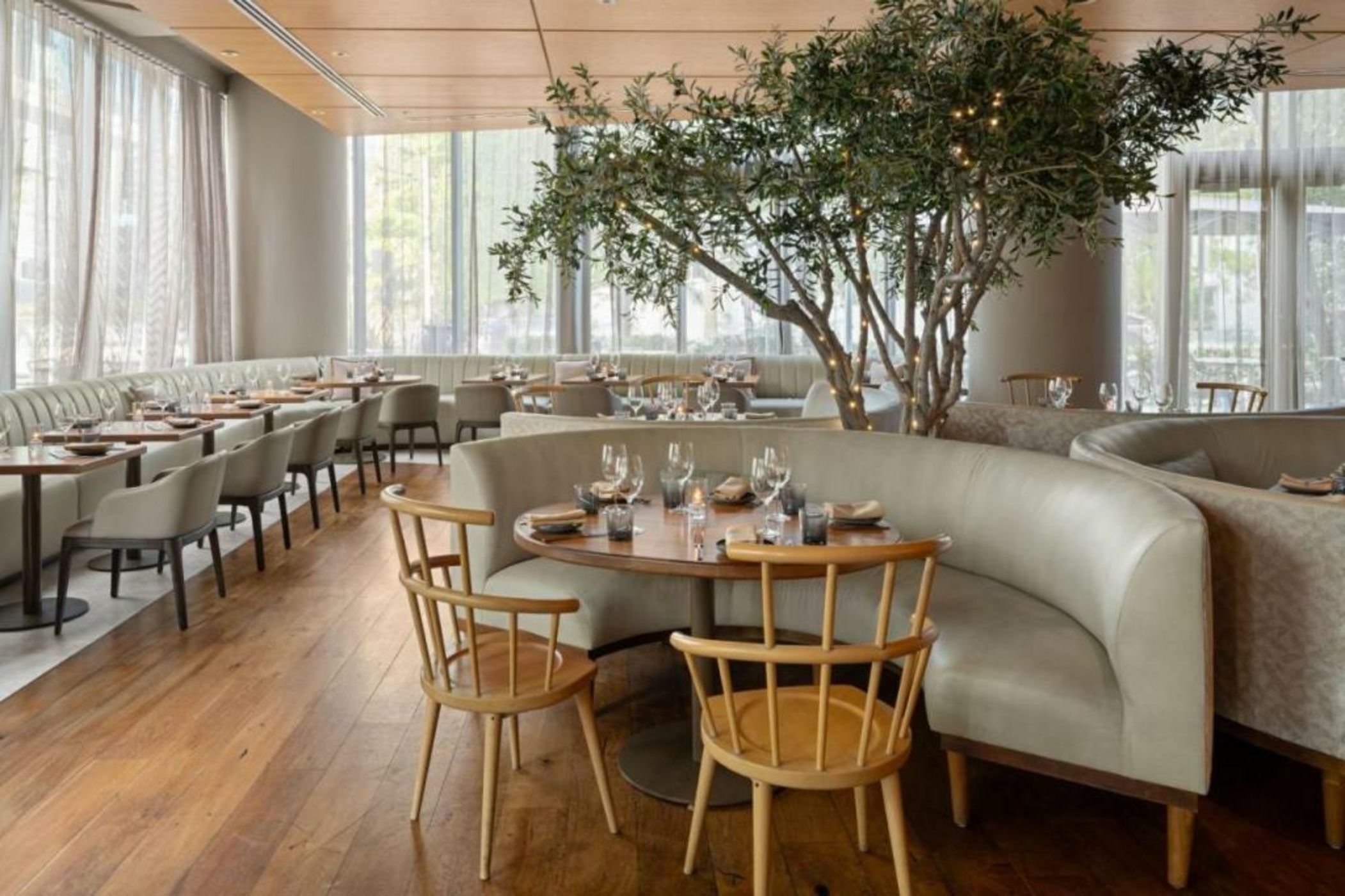 Dua Miami, Autograph Collection