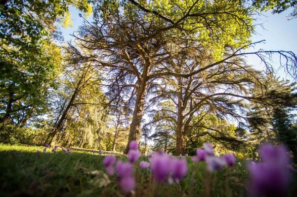 Best Western Premier Le Domaine de Montjoie
