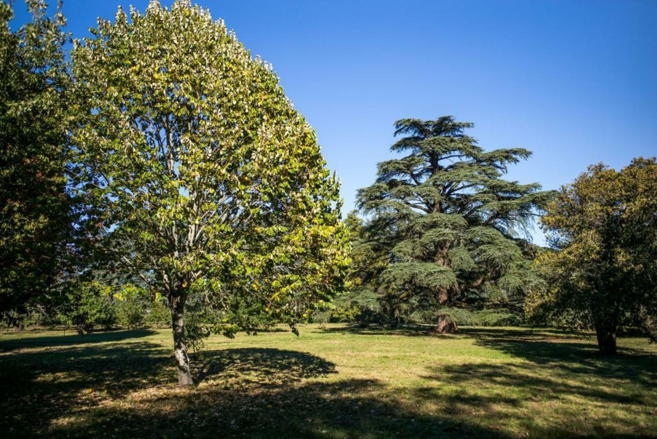 Domaine de Montjoie - Toulouse - BW Premier Collection