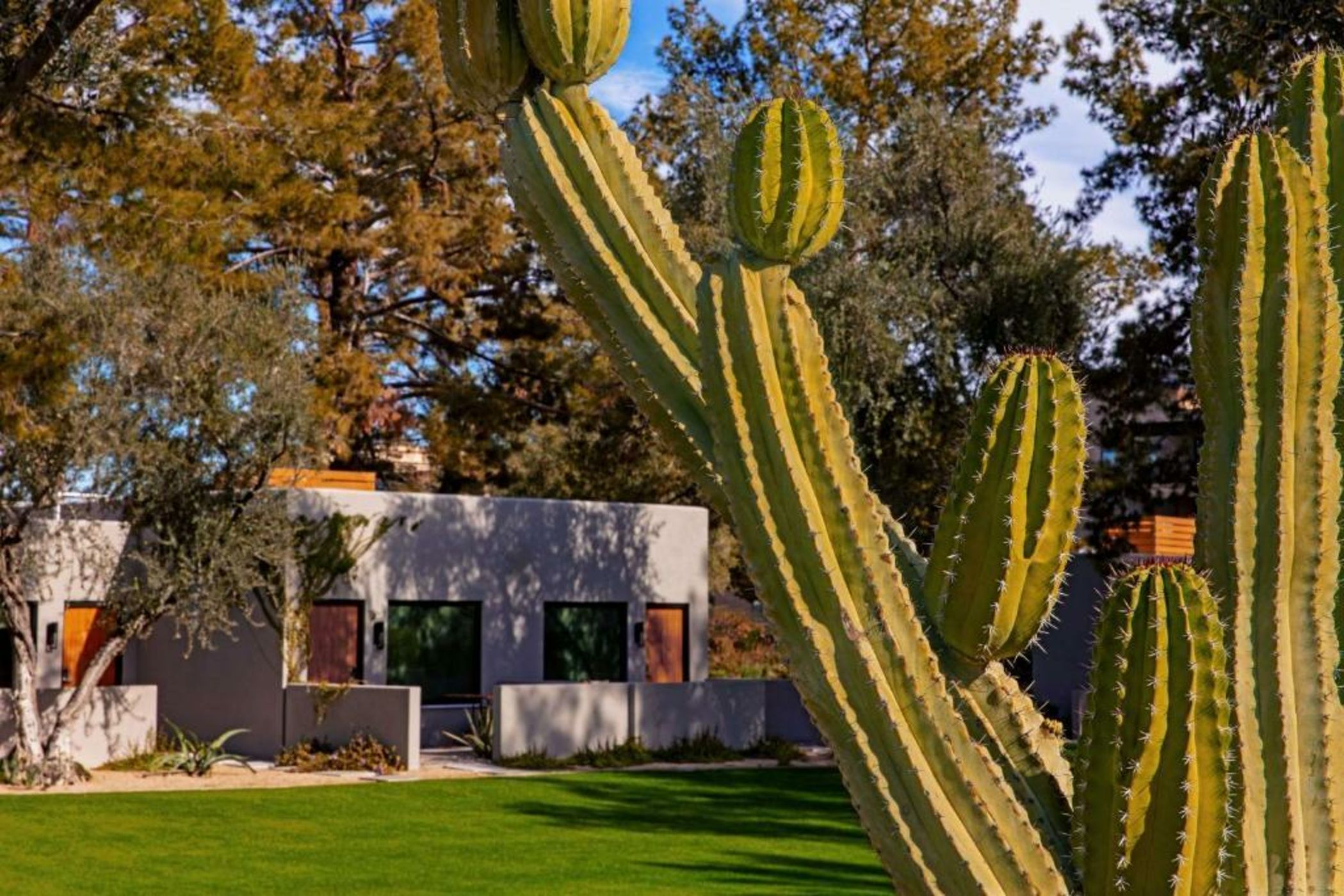 Andaz Scottsdale Resort & Bungalows