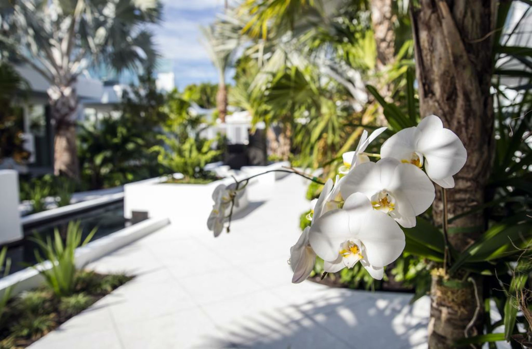 H2O Suites- Adults Only