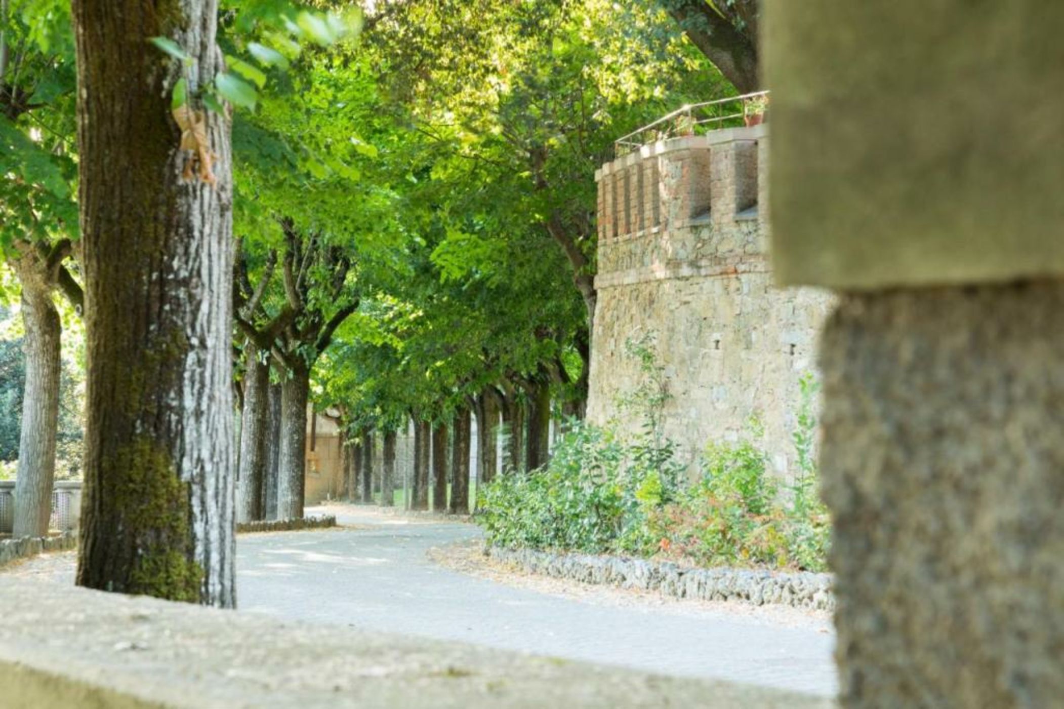 Borgo Dei Conti Resort Relais & Chateaux