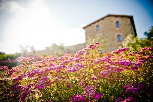 Borgo Dei Conti Resort Relais & Chateaux
