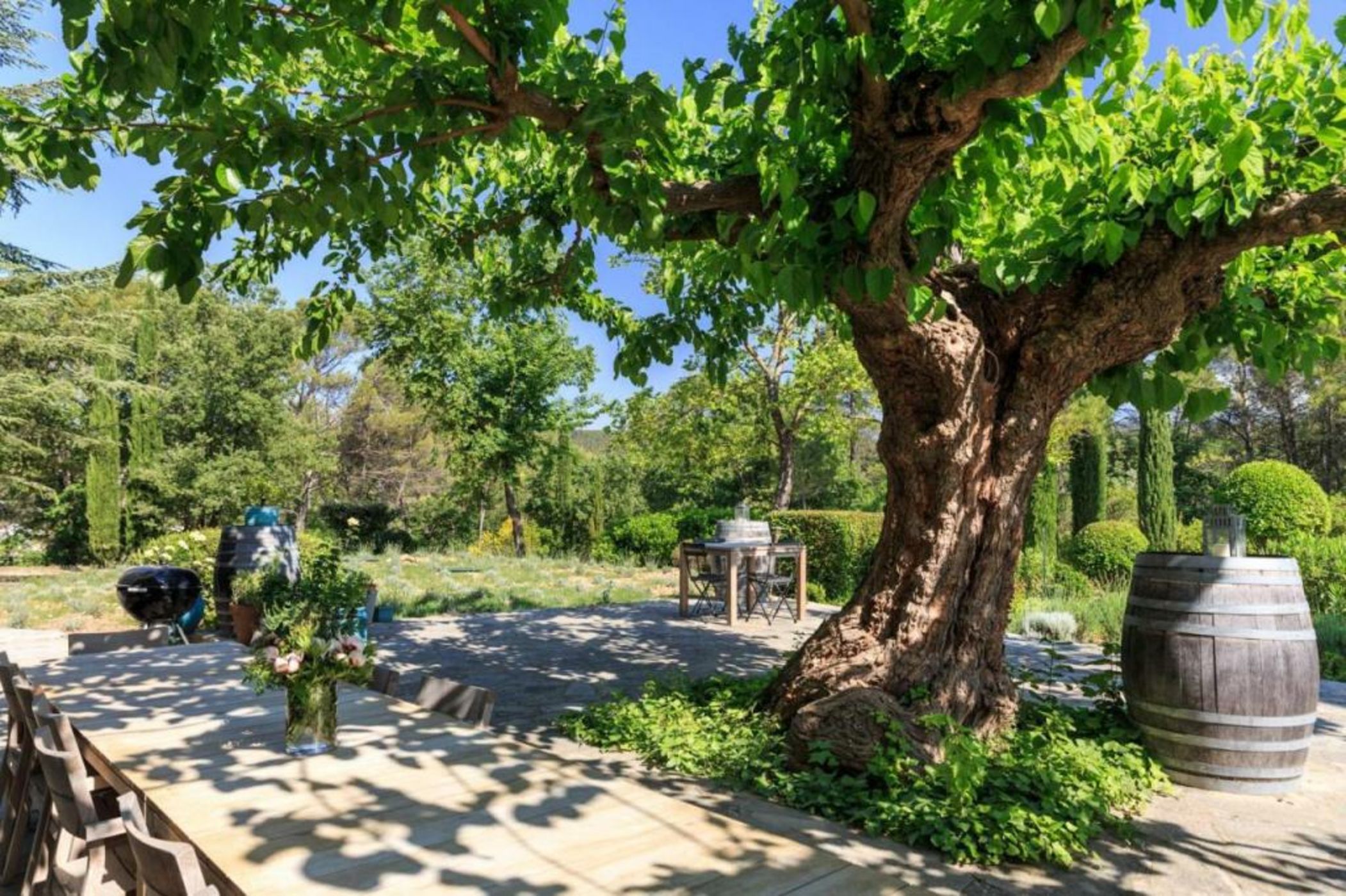 Domaine du Clos d'Alari