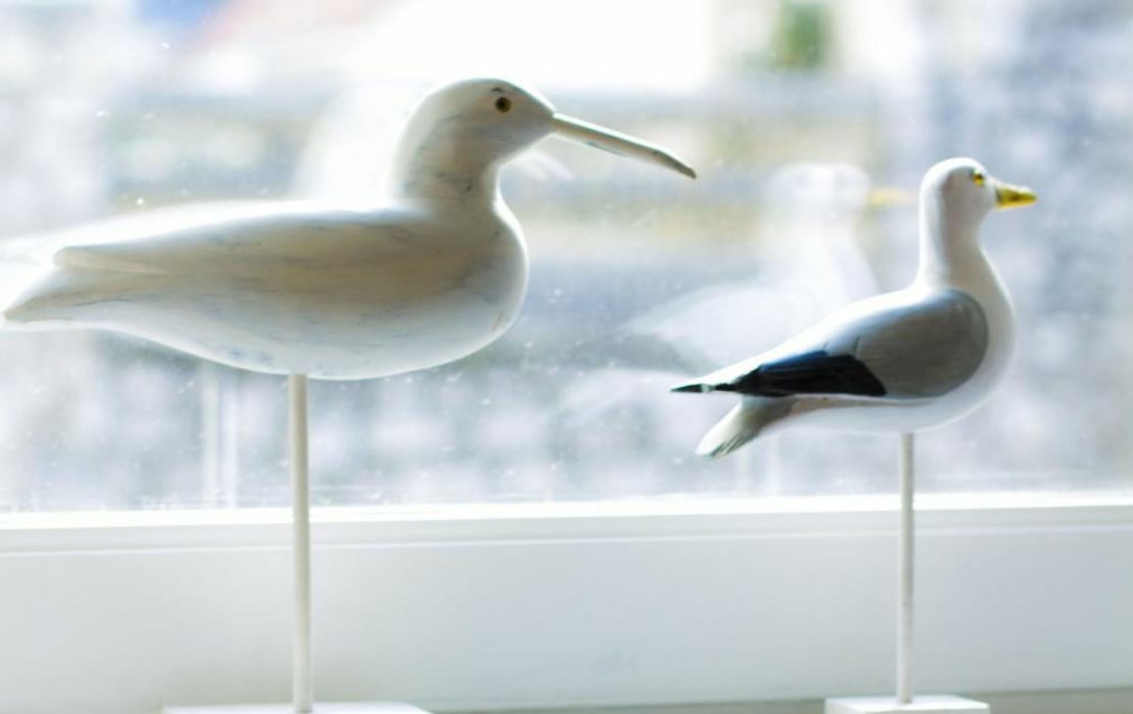 Villa Providence-Maison d'Hôtes