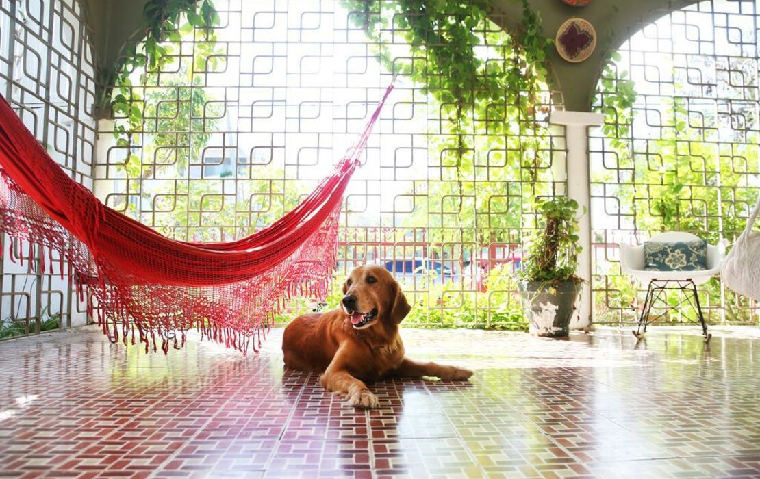 The Dreamcatcher, a Design Boutique Hotel San Juan, Puerto Rico