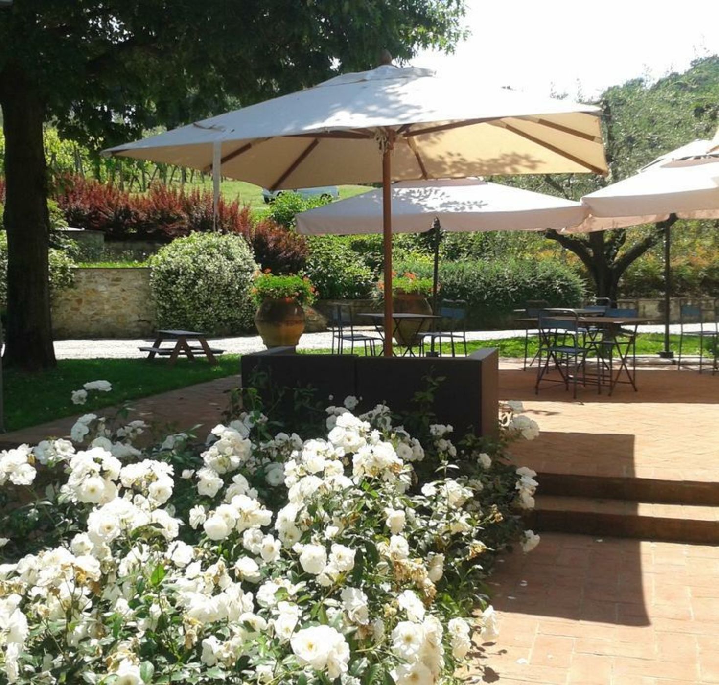 Agriturismo La Casa Di Rodo