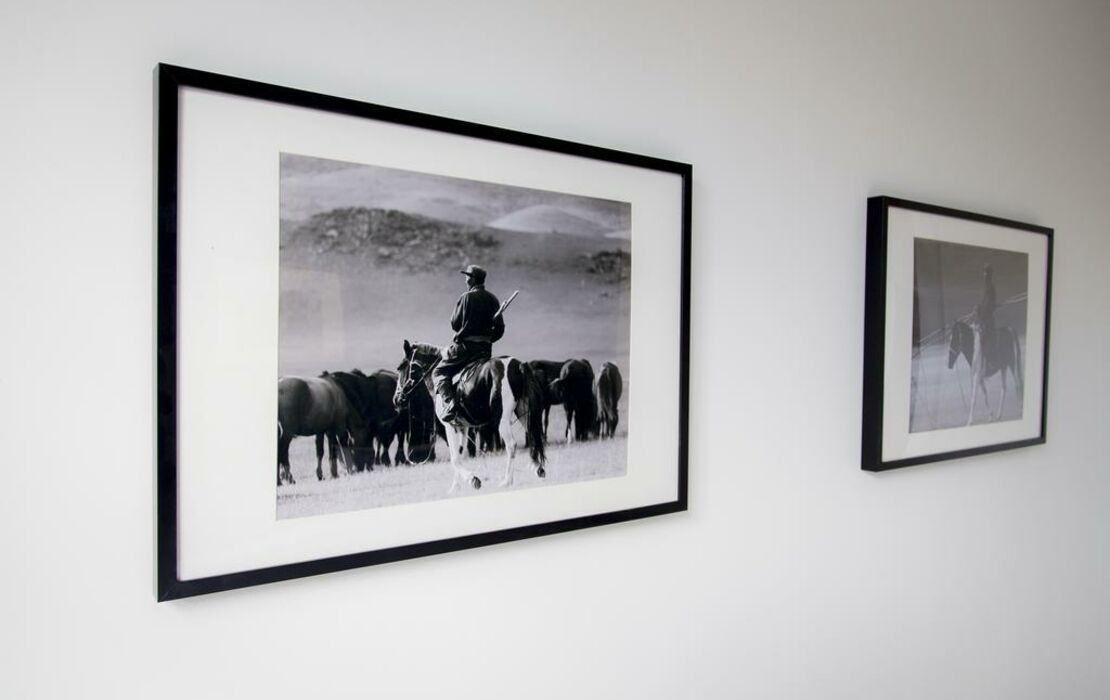 Two White Pigeons, a Design Boutique Hotel Ypres, Belgium