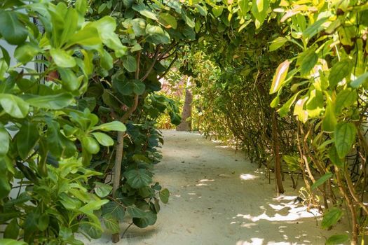 Tago Tulum by G Hotels