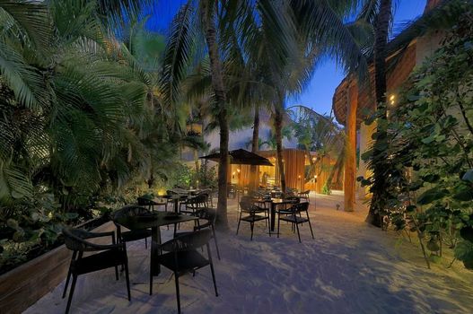Tago Tulum by G Hotels
