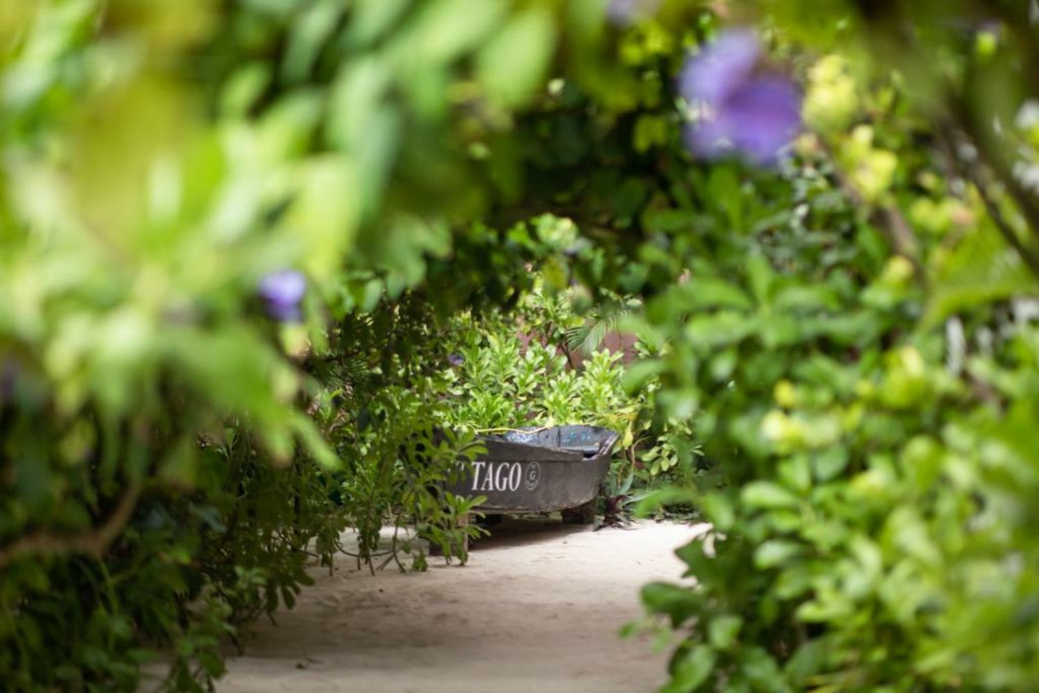 Tago Tulum by G Hotels