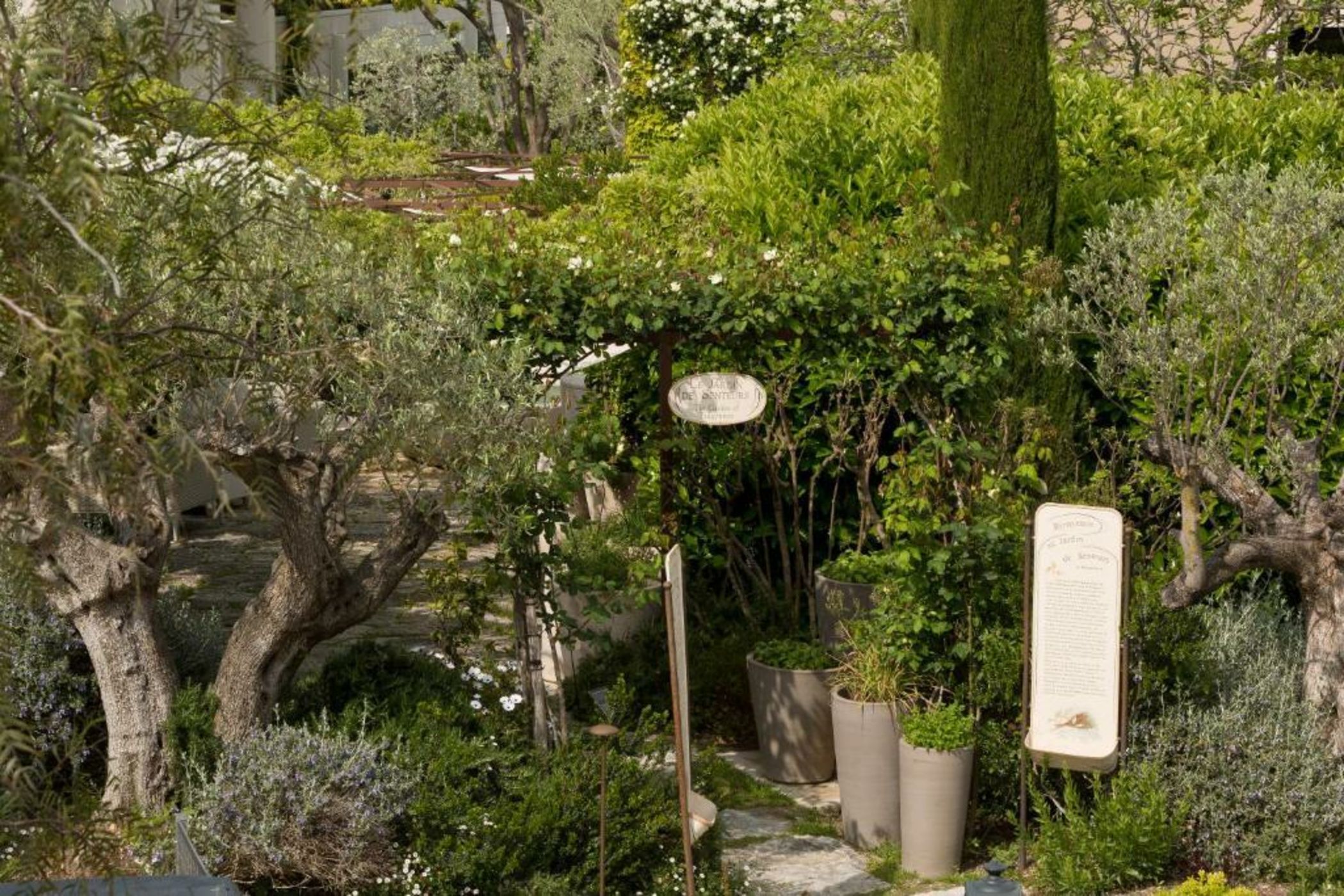 Domaine du Mas De Pierre