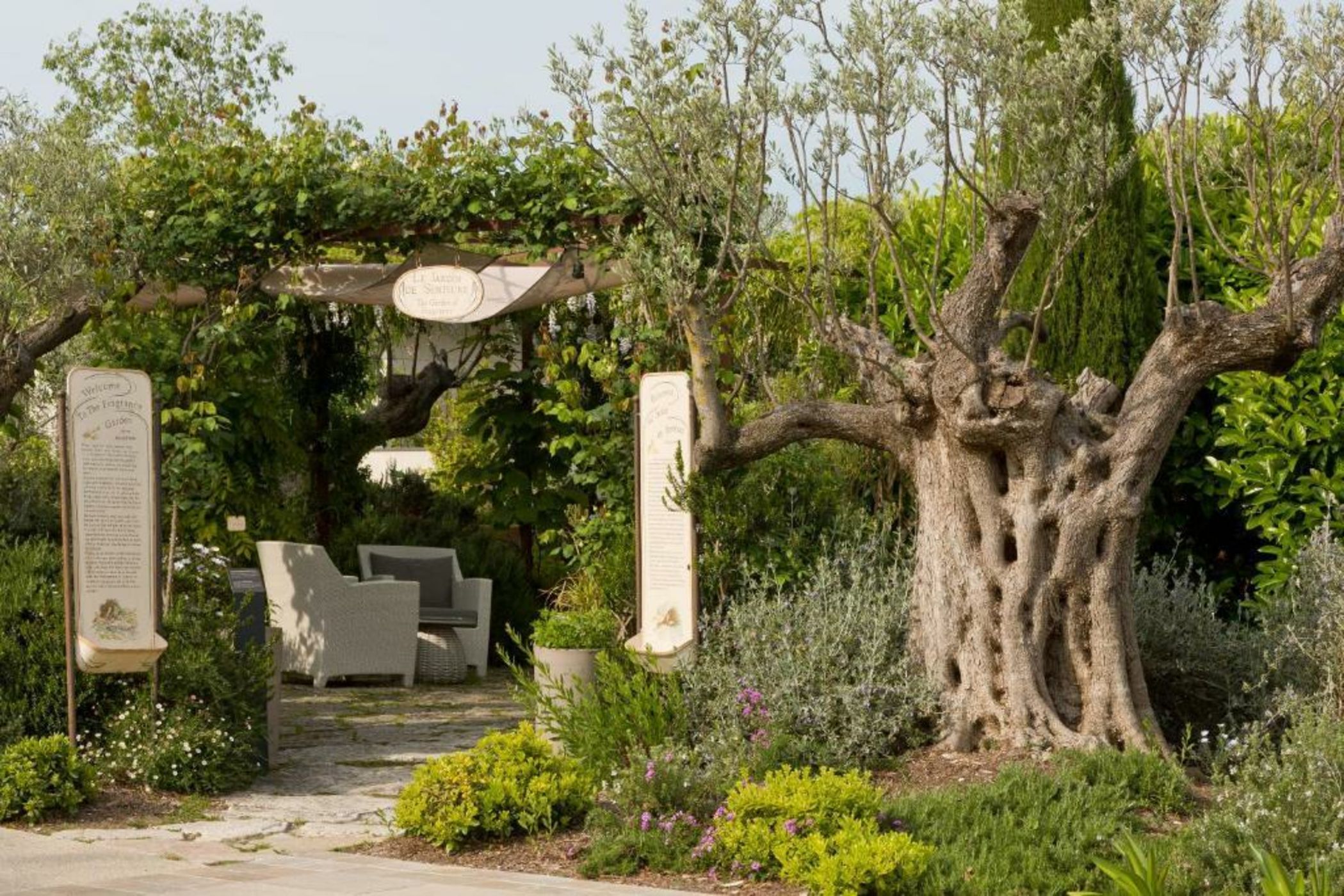 Domaine du Mas De Pierre