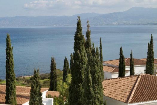 Anassa