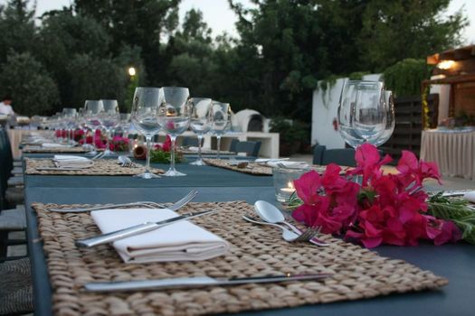 Anassa