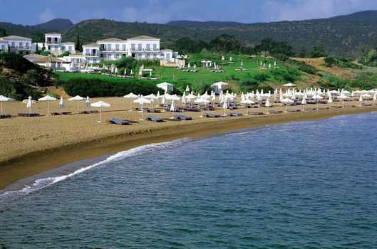 Anassa