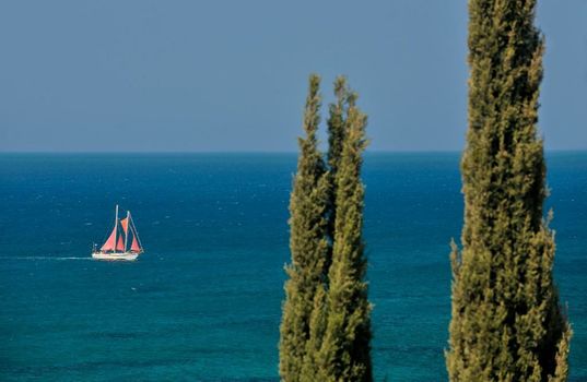 Anassa