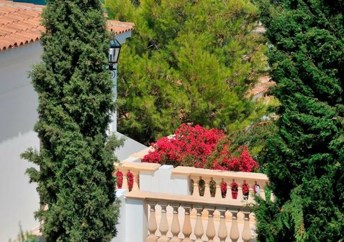 Anassa