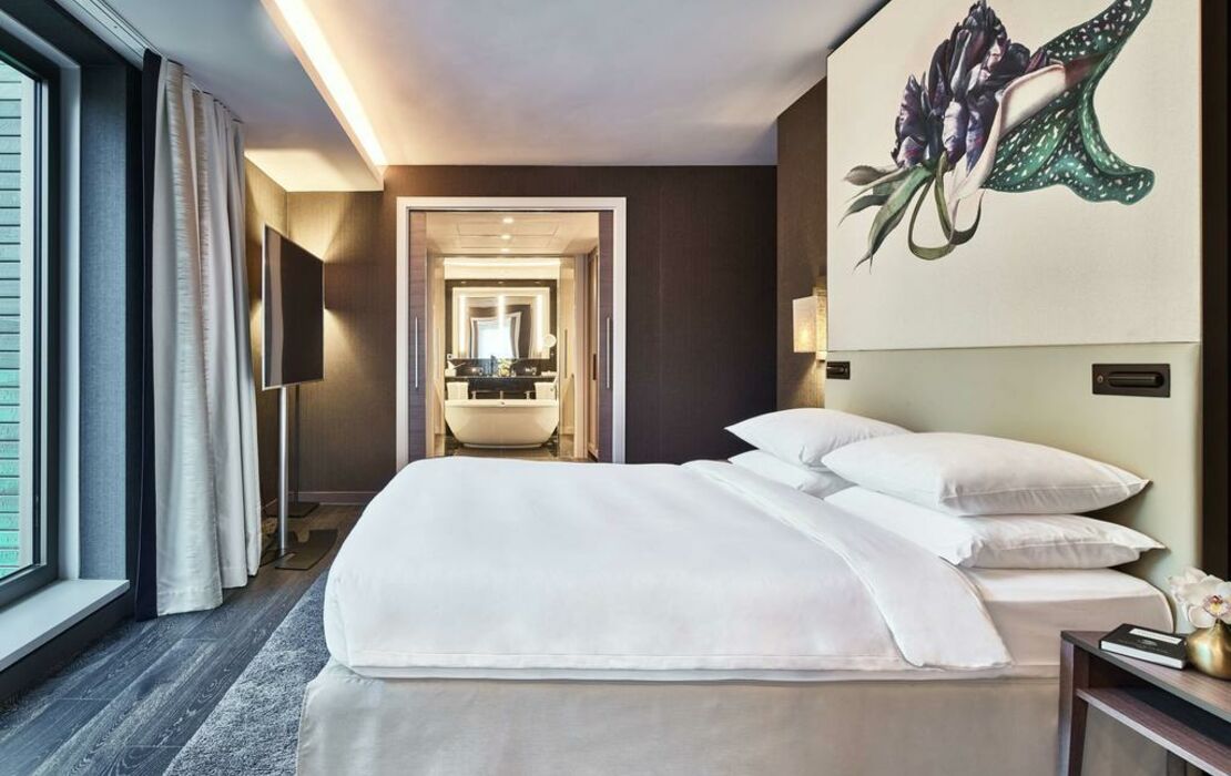 Hyatt Regency Amsterdam, a Design Boutique Hotel Amsterdam, Netherlands