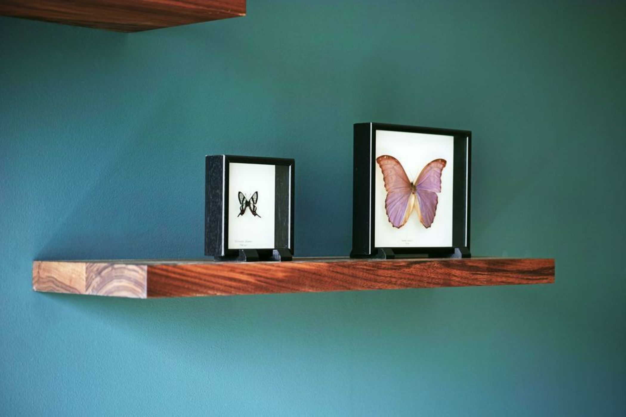 Hyatt Regency Amsterdam