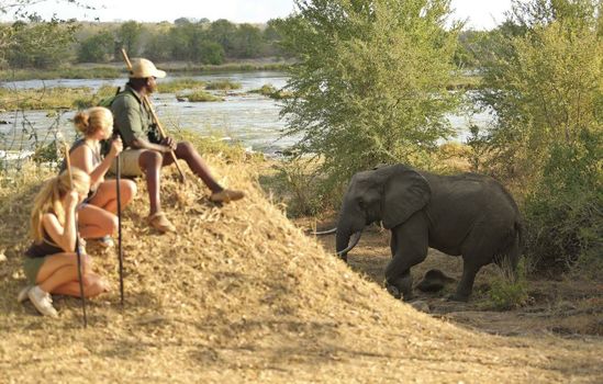 Azura Selous Game Reserve