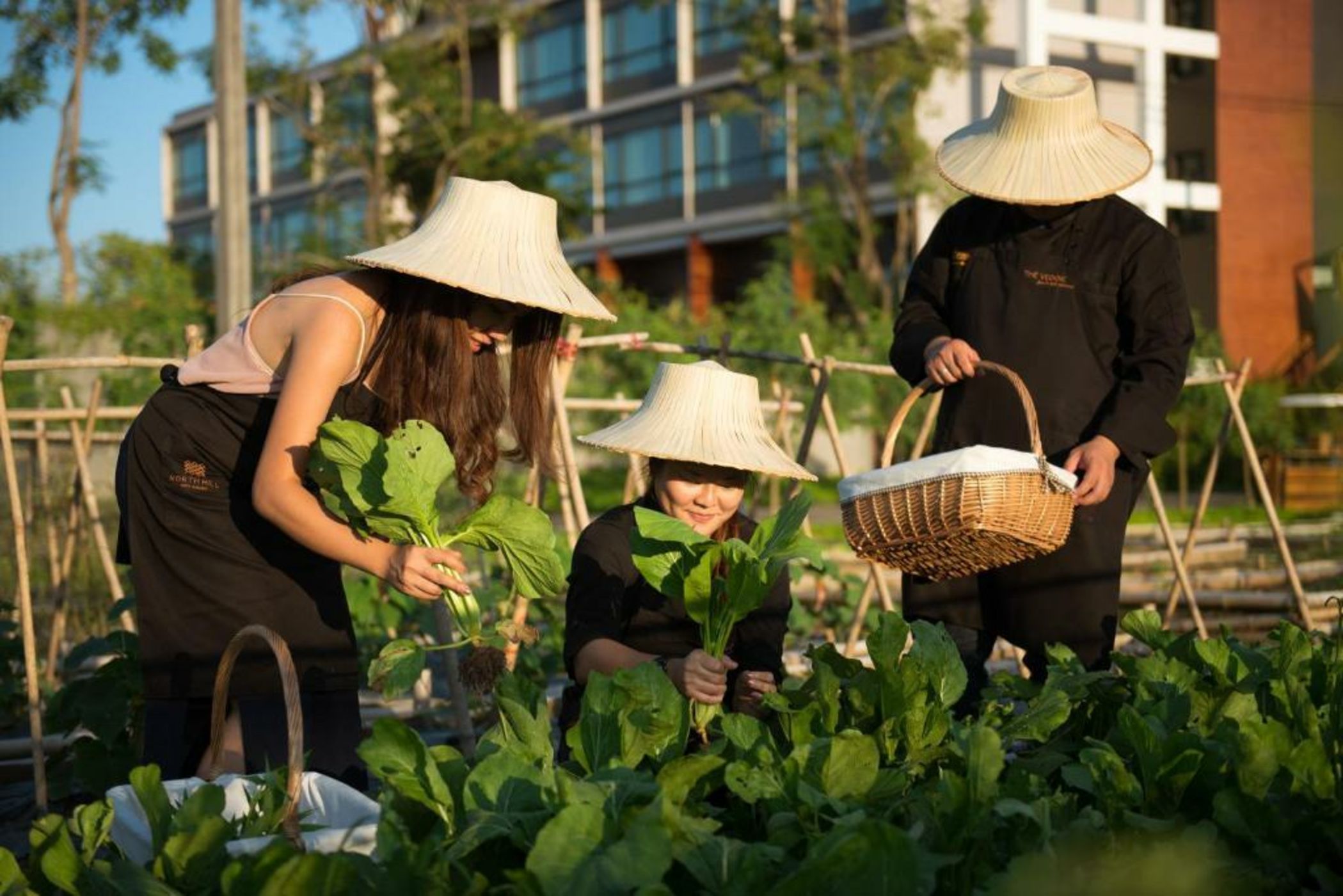 North Hill City Resort -SHA Extra Plus