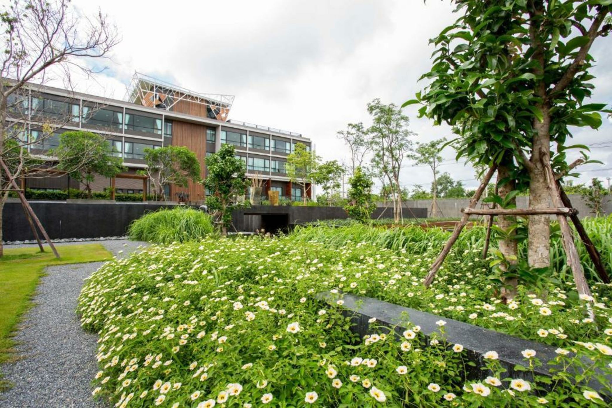 North Hill City Resort -SHA Extra Plus