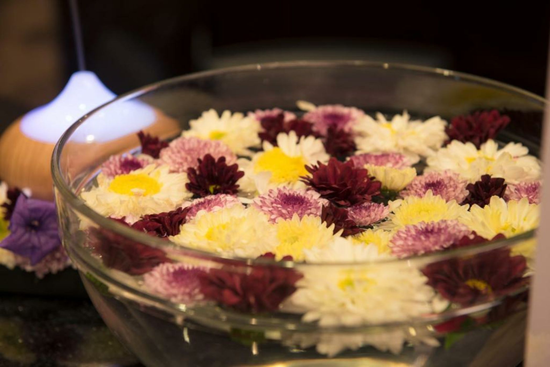 North Hill City Resort -SHA Extra Plus