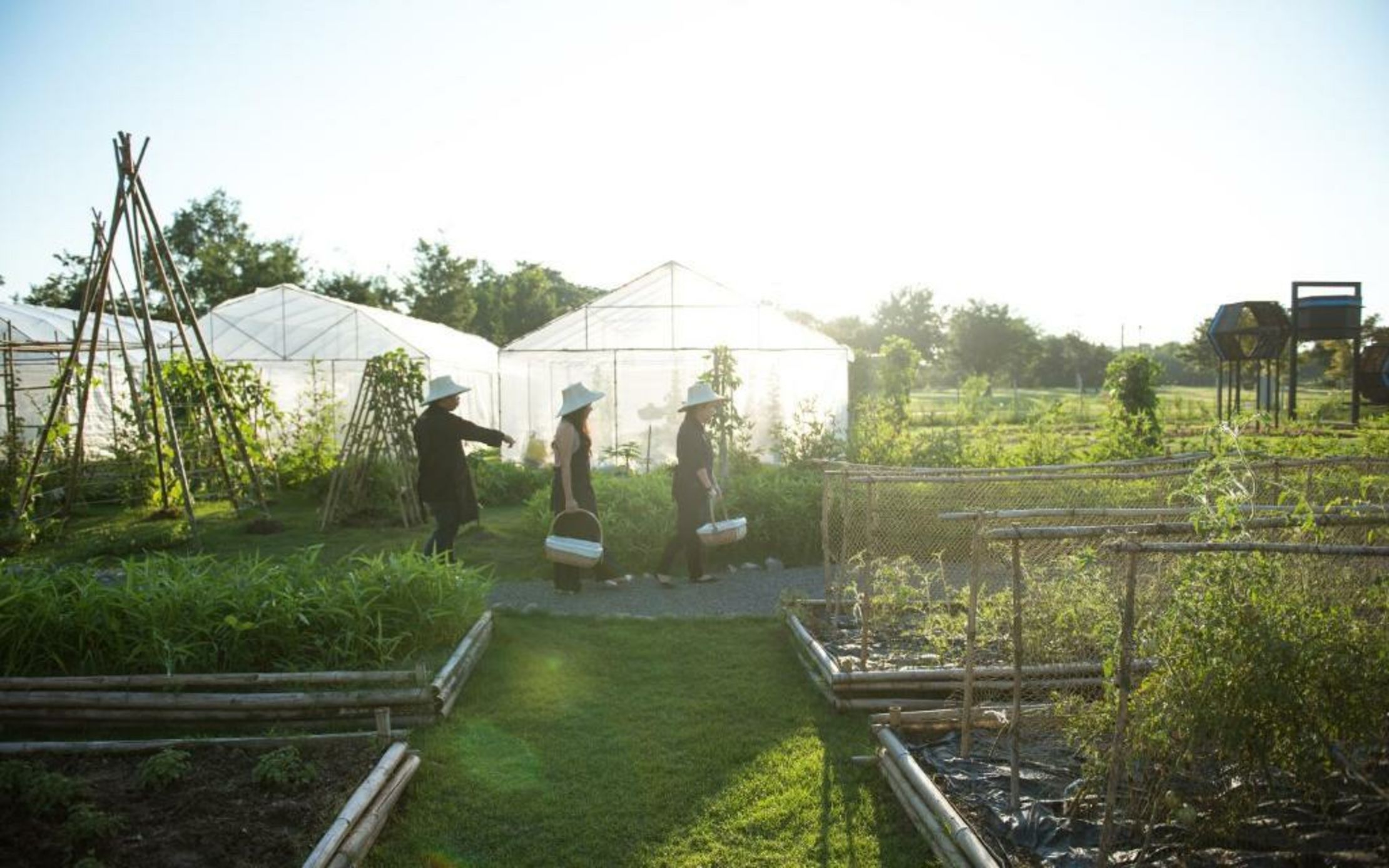 North Hill City Resort -SHA Extra Plus