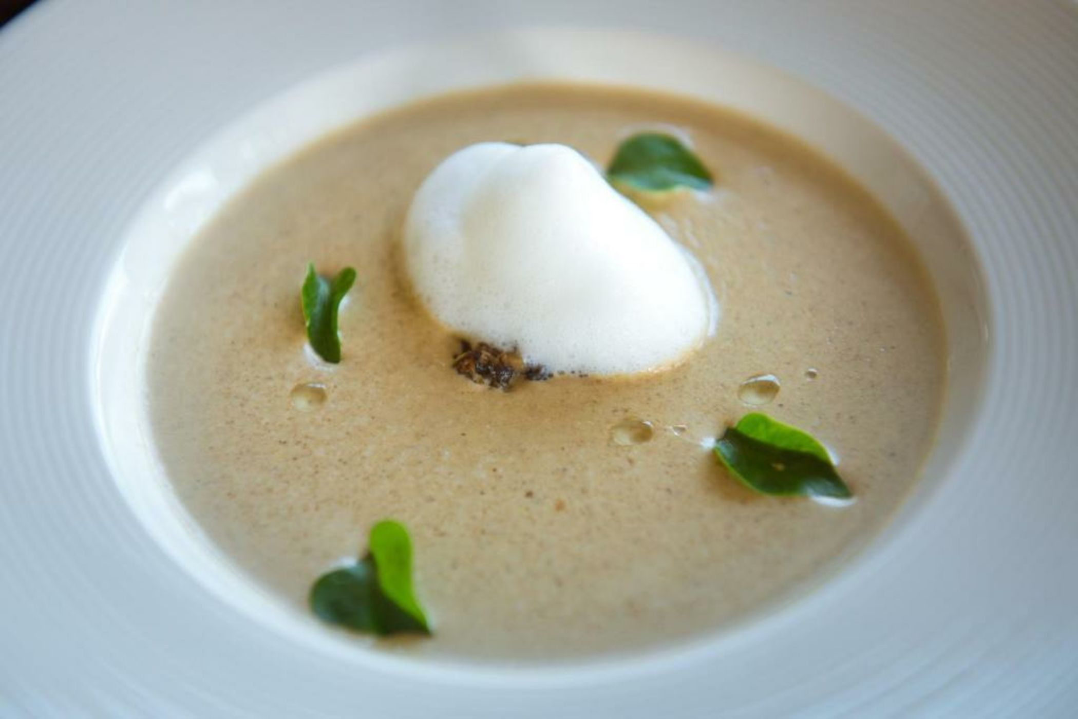 North Hill City Resort -SHA Extra Plus