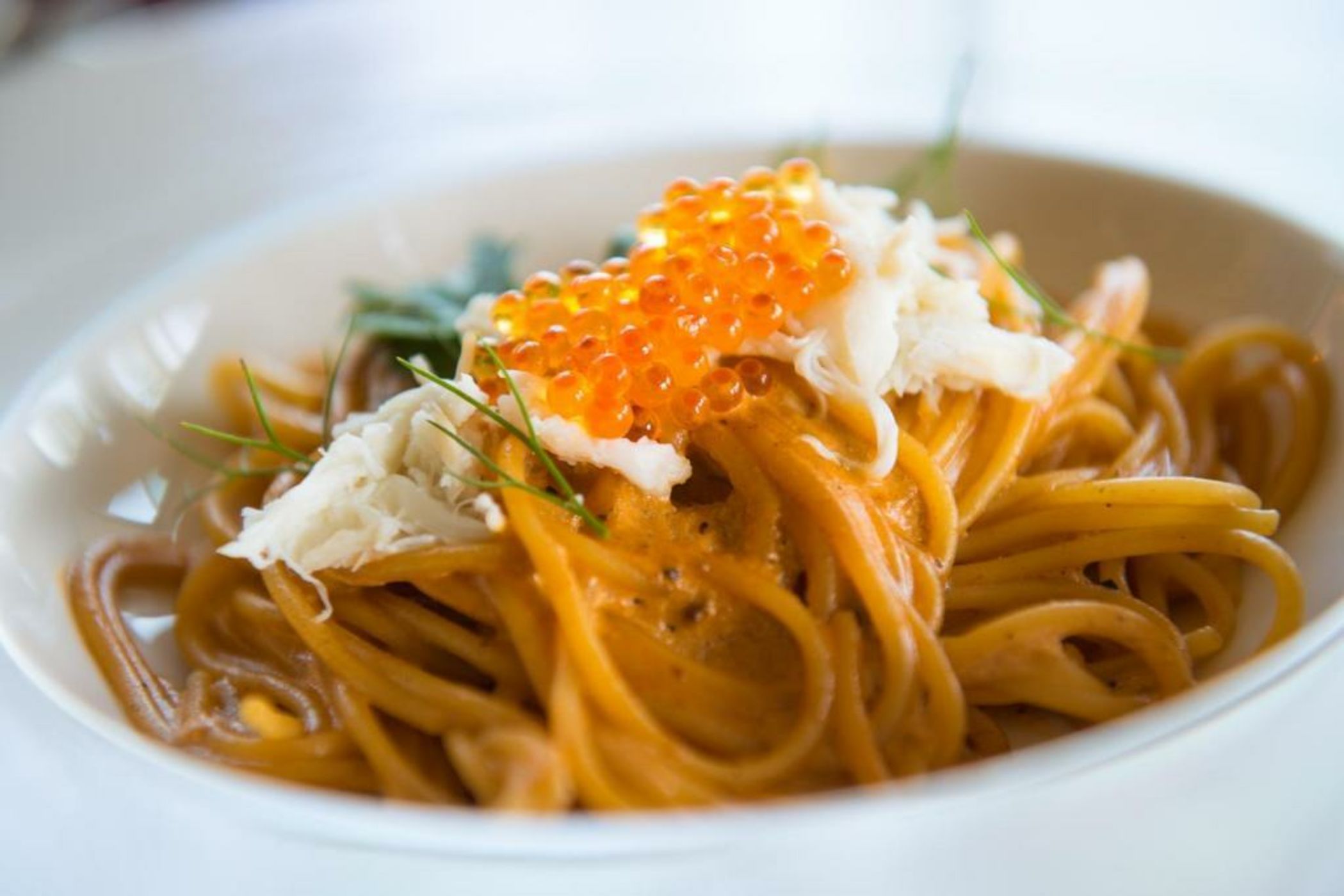 North Hill City Resort -SHA Extra Plus