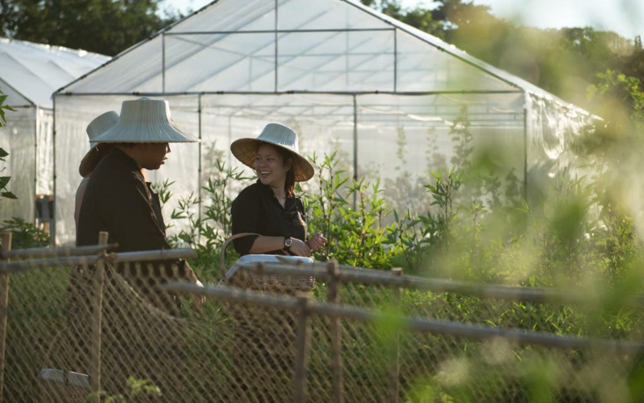 North Hill City Resort -SHA Extra Plus