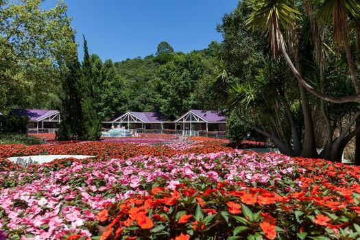 Unique Garden