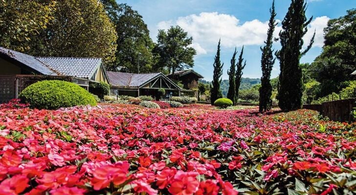 Unique Garden