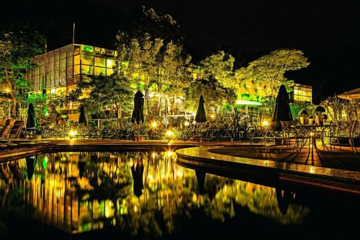 Unique Garden