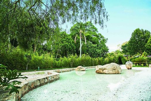 Unique Garden