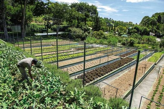Unique Garden