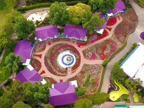 Unique Garden