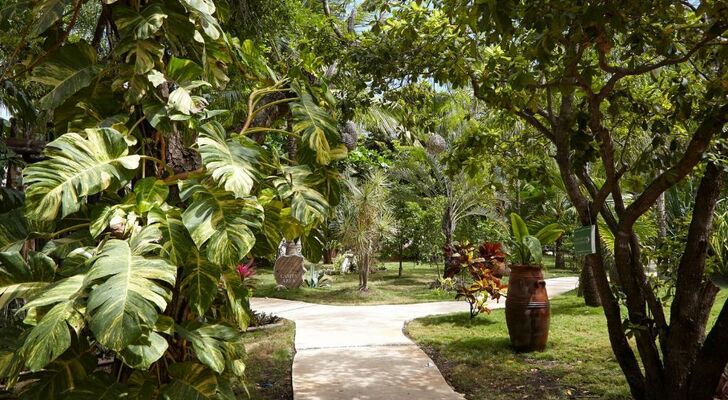 Coco Hacienda Tulum - Adults Only