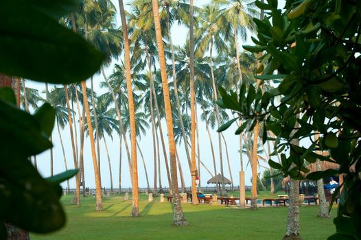 Reef Villa and Spa