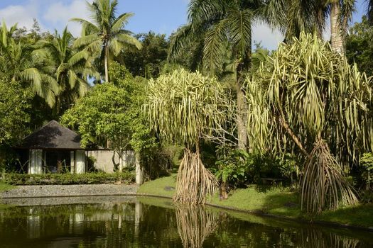 The Farm at San Benito