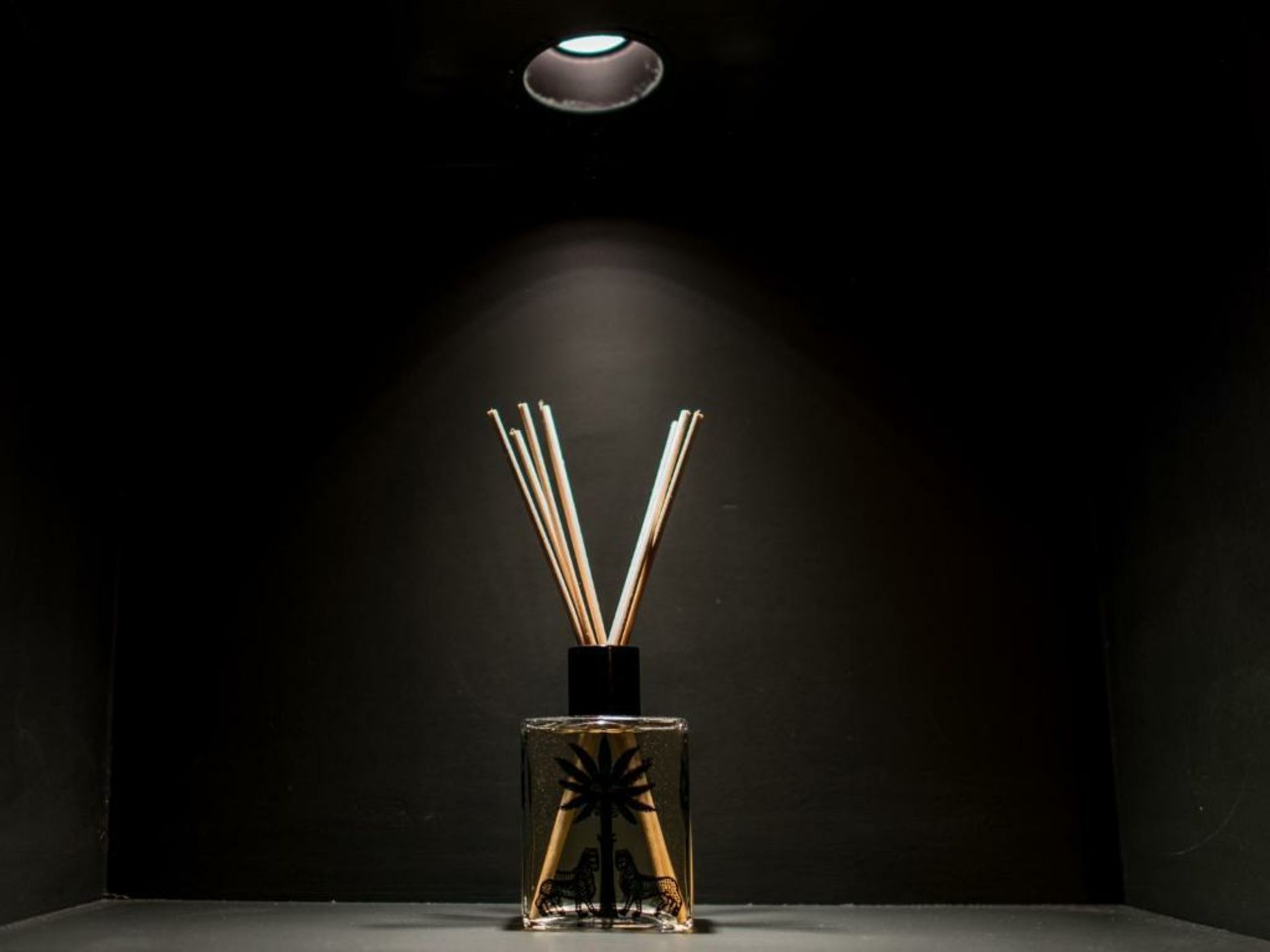 1er Etage SoPi-Montmartre