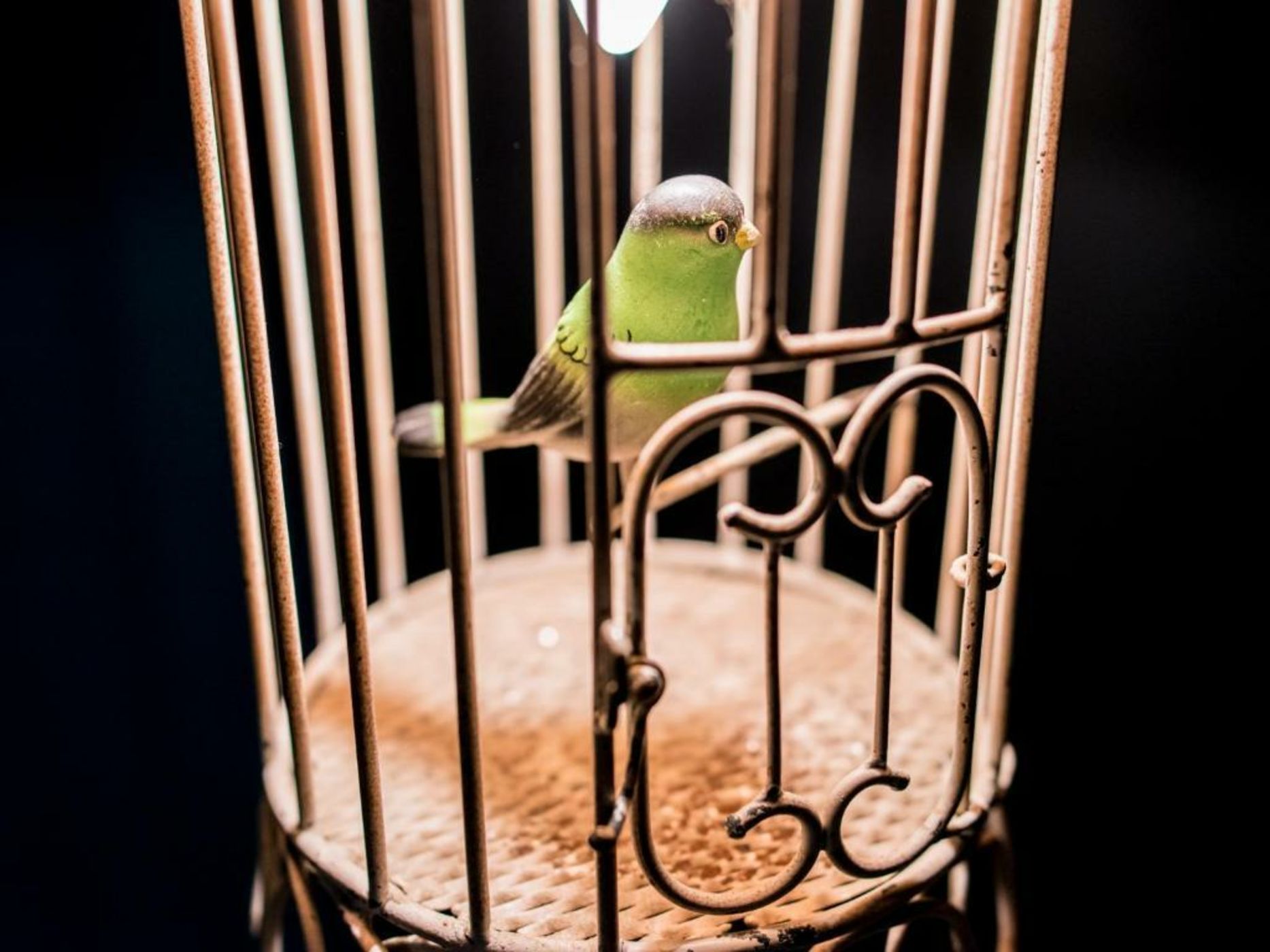 1er Etage SoPi-Montmartre