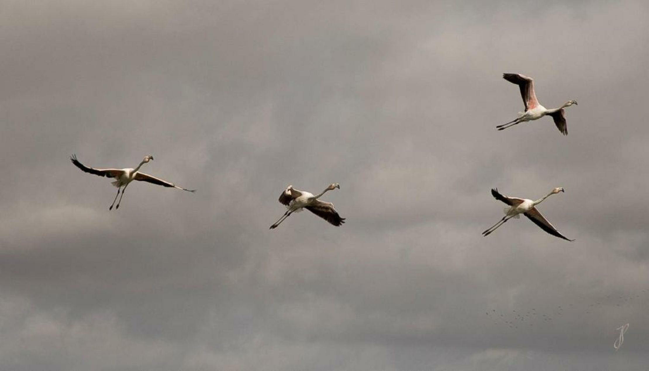 Sport Hotel A Seleção