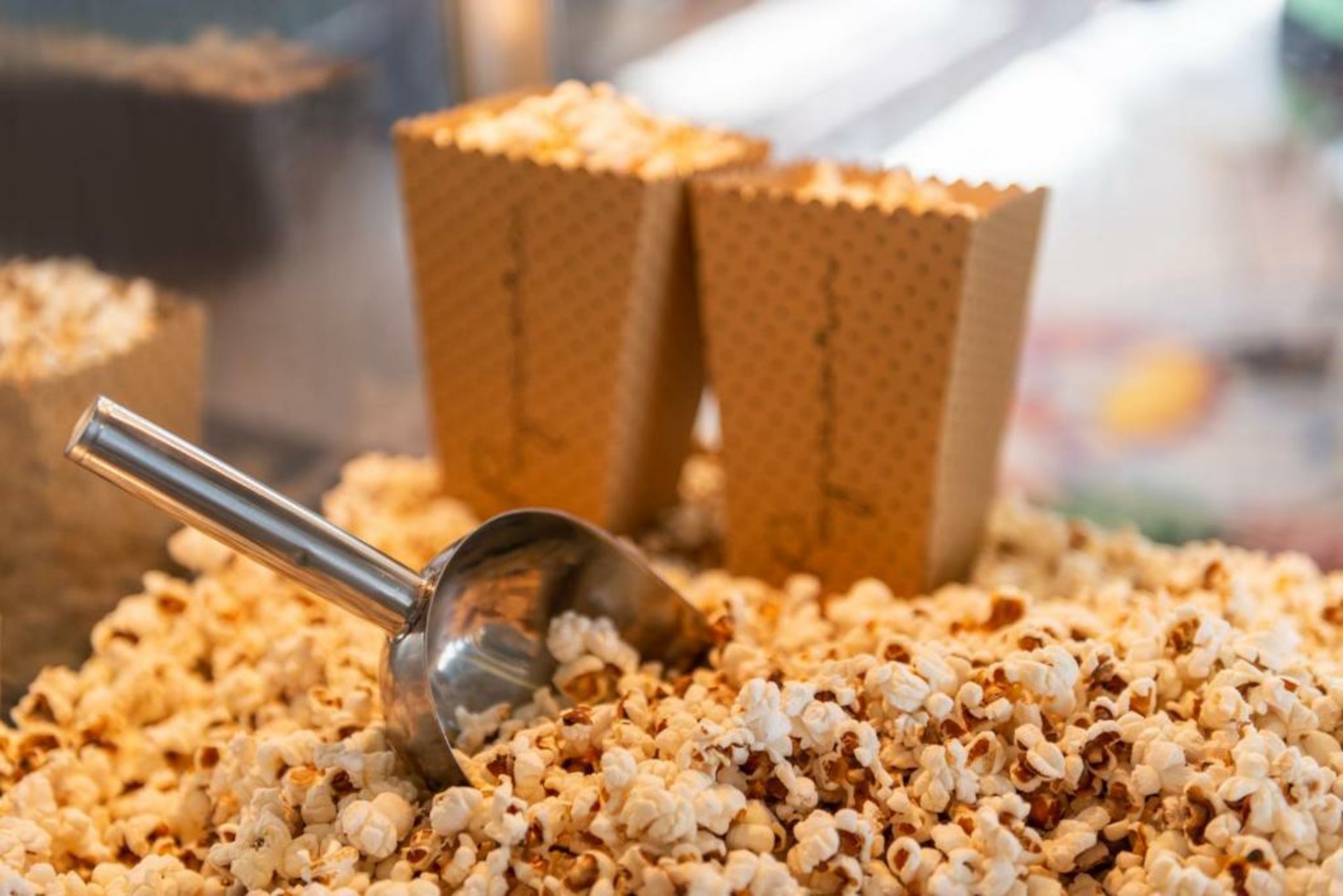 Hôtel Omnubo Collection