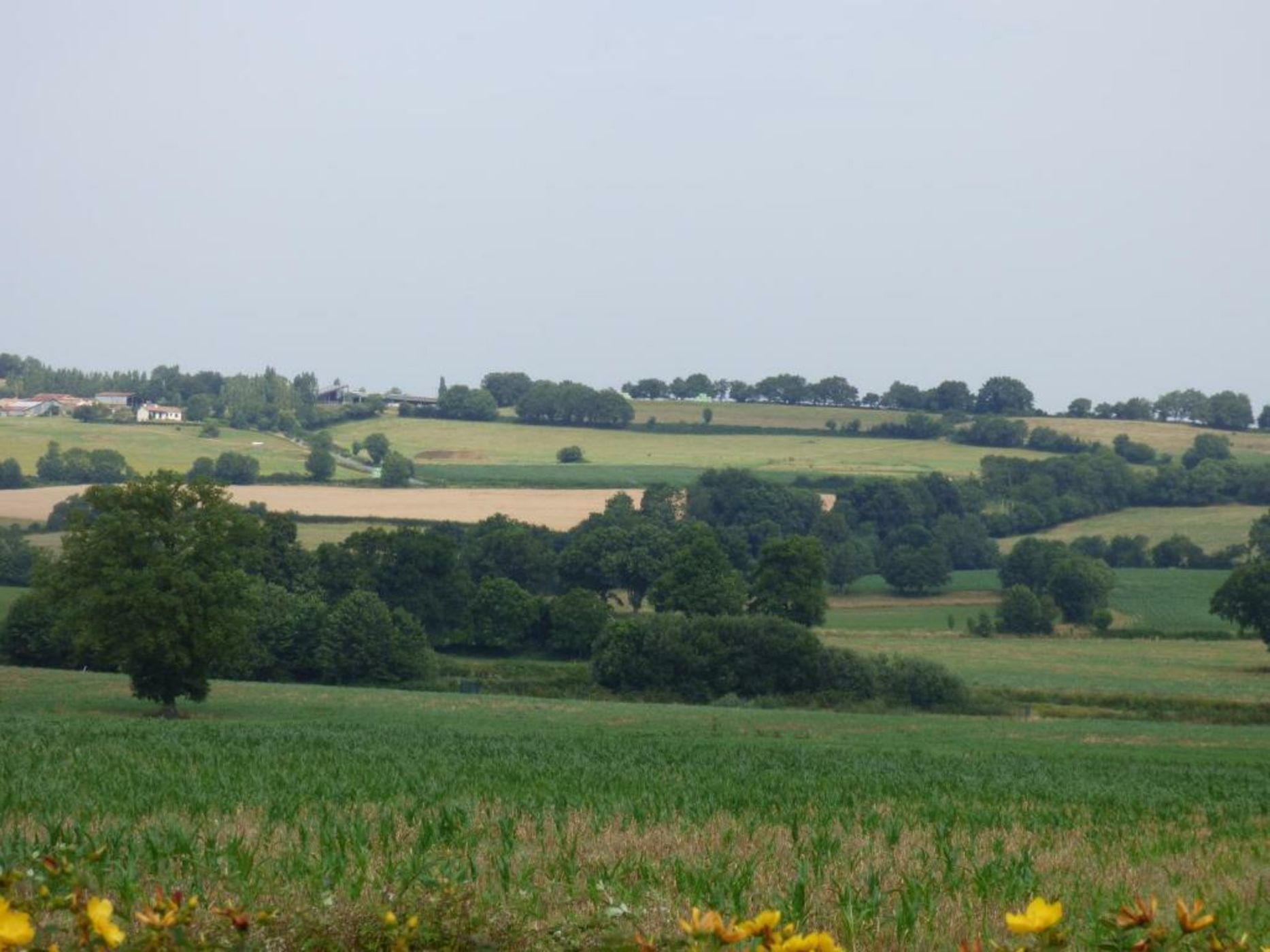 Hôtel Omnubo Collection