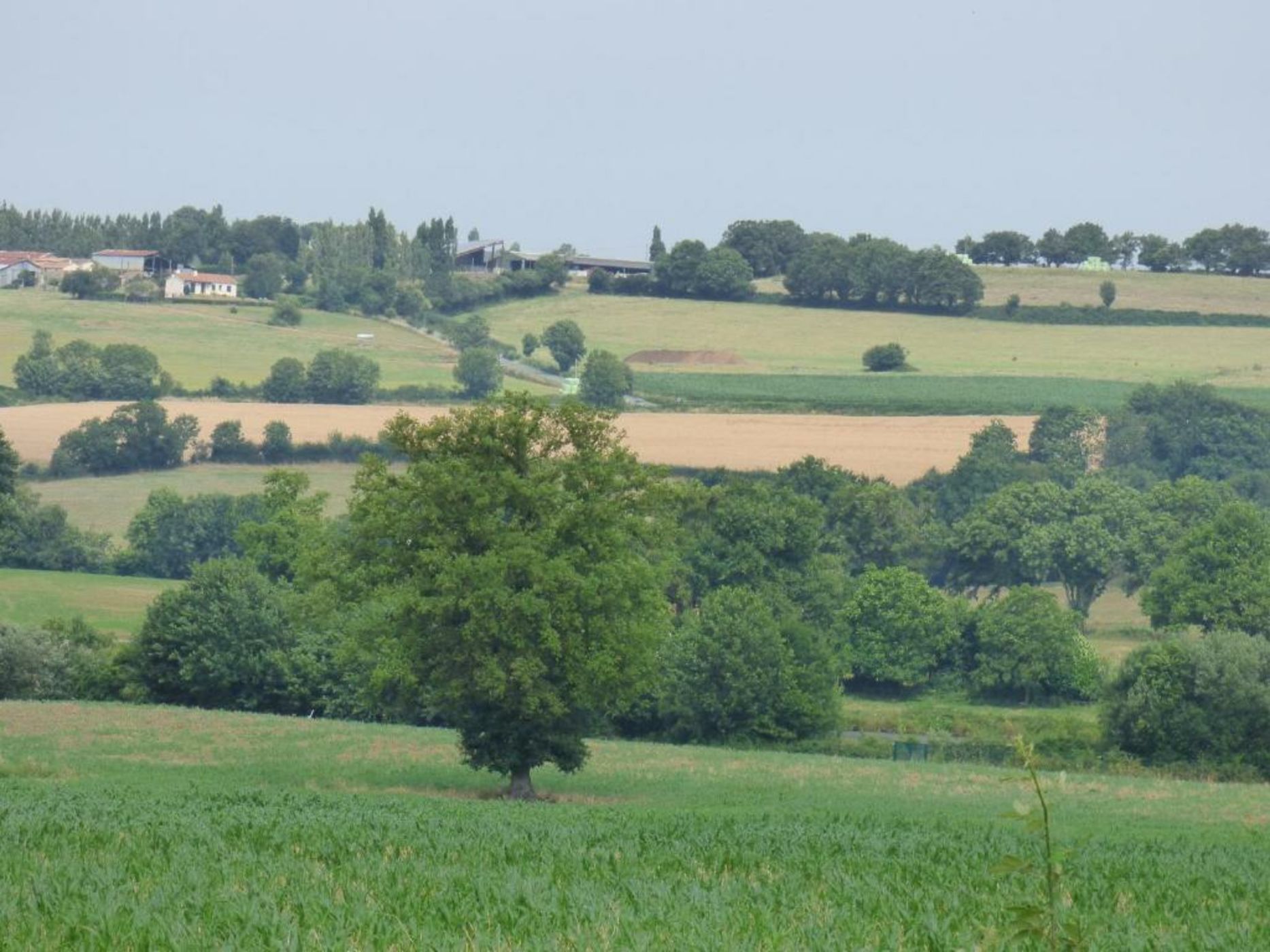 Hôtel Omnubo Collection