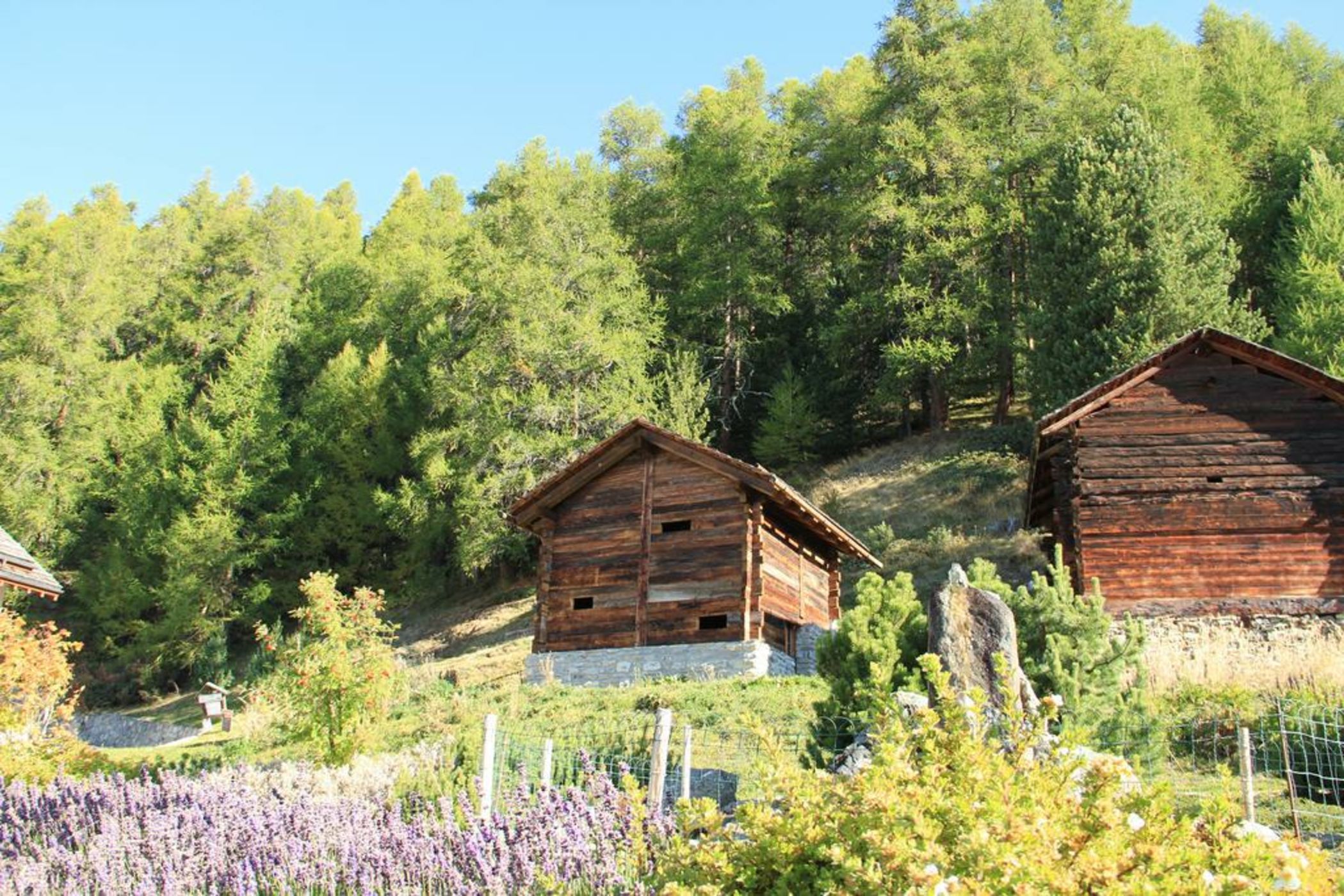 Chandolin Boutique Hotel