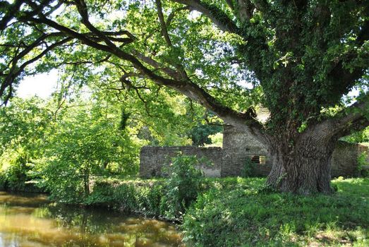Le Manoir de la Vieille Douve