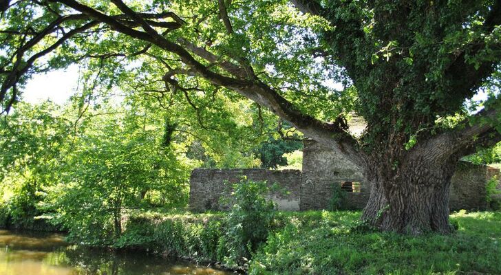 Le Manoir de la Vieille Douve